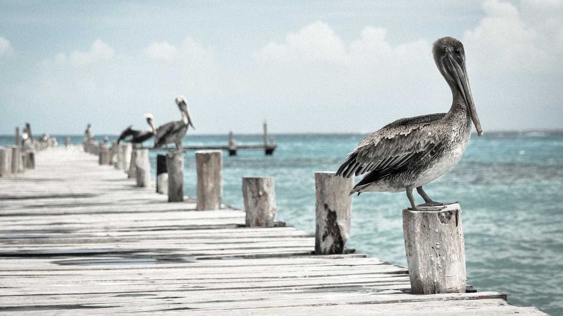 1080.jpg